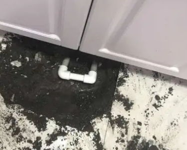 勐腊查漏水哪家好